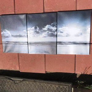 3 pcs wall decoration paintings 12 * 16 inches